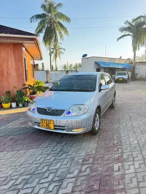 Toyota Corolla RunX 2001 Silver