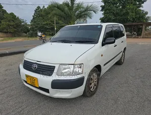 Toyota Succeed 2004 White