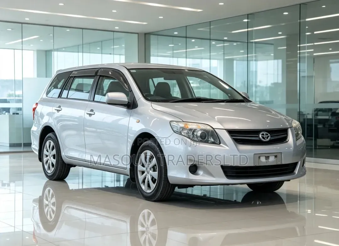 Toyota Corolla Fielder 2010 Silver
