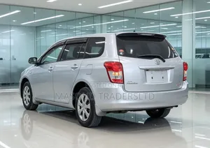 Toyota Corolla Fielder 2010 Silver