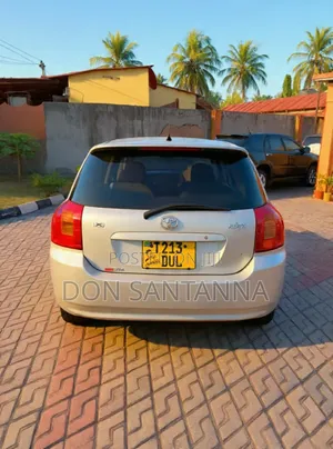 Toyota Allex 2001 Silver