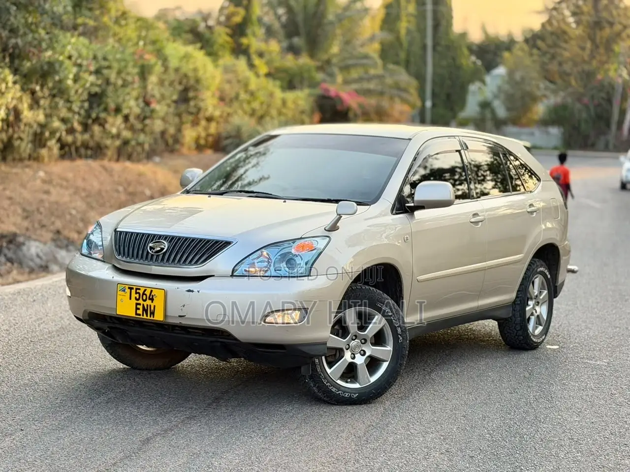 Toyota Harrier 2006 Beige