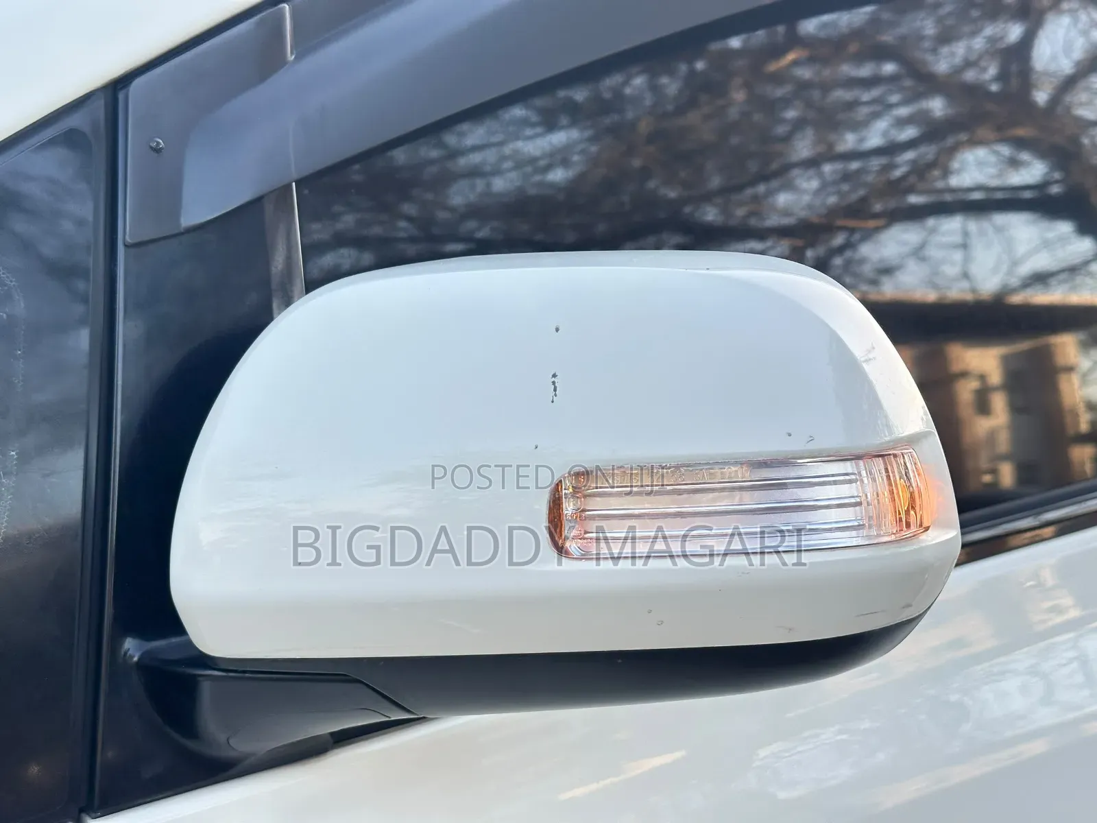 Toyota Alphard 2010