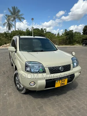 Nissan X-Trail 2005 Ivory