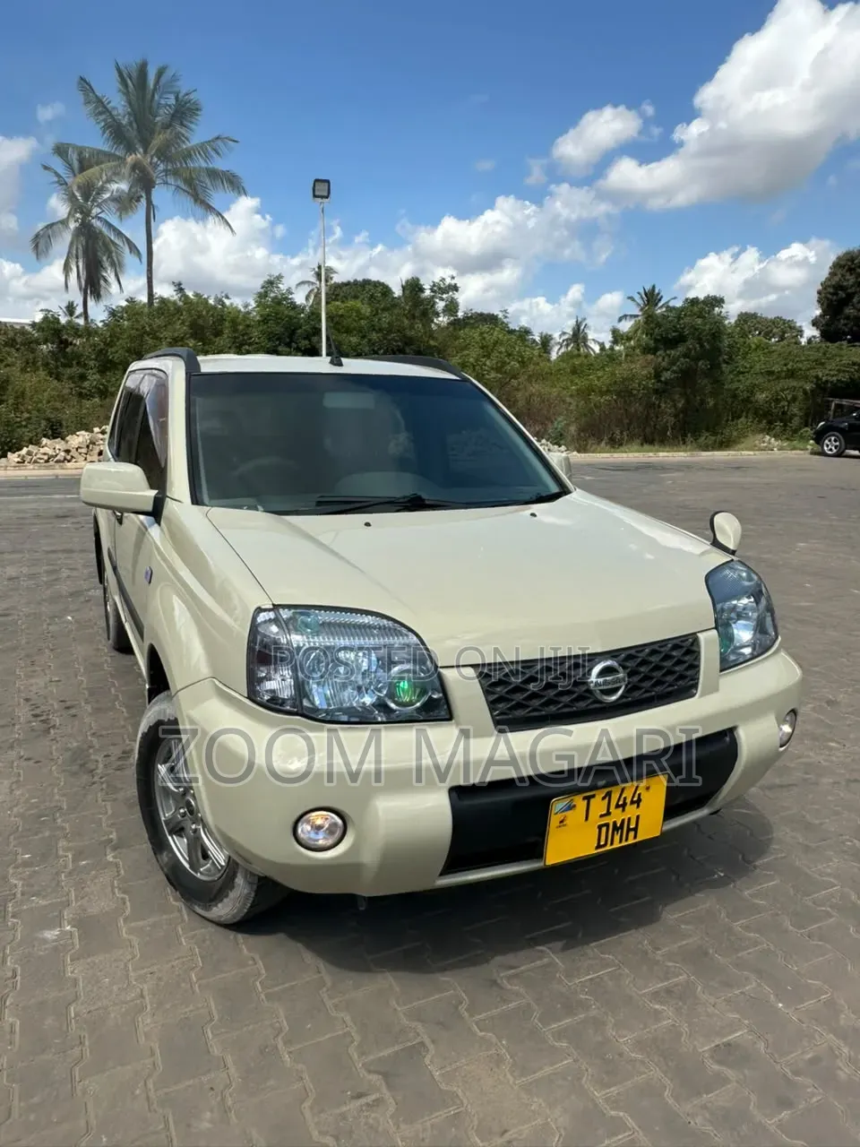 Nissan X-Trail 2005 Ivory