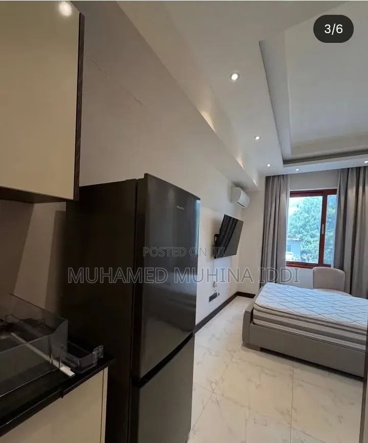 Furnished Studio Apartment in Masaki for rent