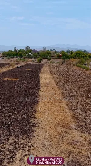 Viwanja Vinauzwa Olmot Arusha – Karibu AFCON Stadium