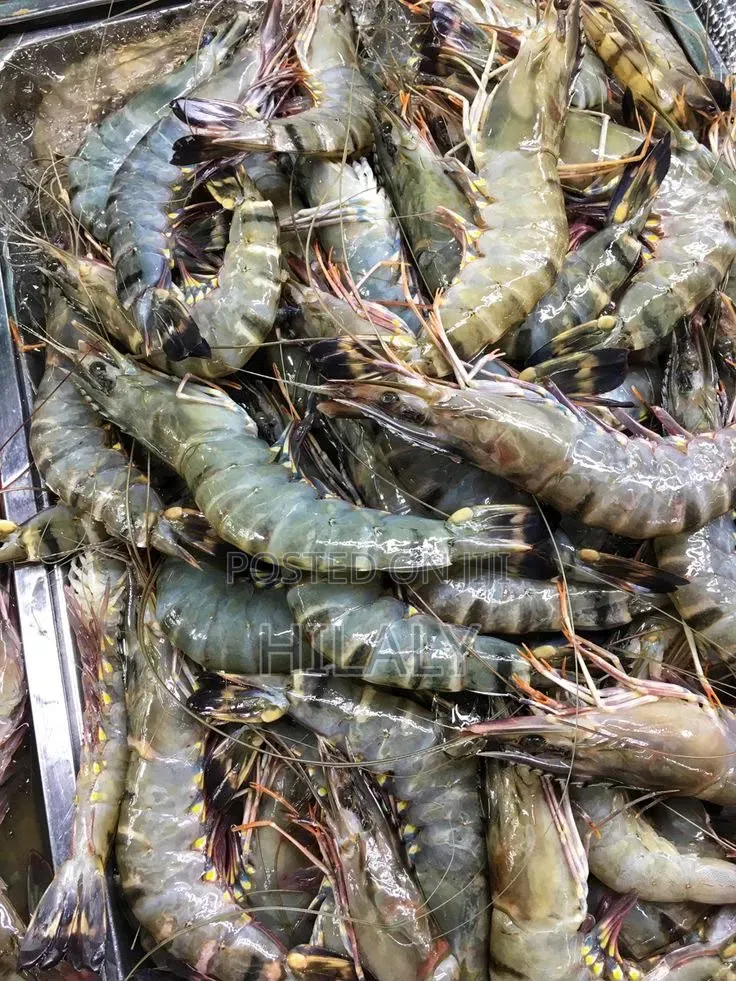 Tunauza JUMBO PRAWNS  Jumla Na Rejareja
