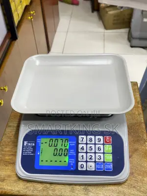 F1976 Computing Scale