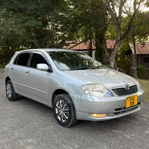 Toyota Corolla RunX 2004 Silver