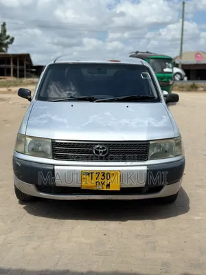 Toyota Probox 2004 Silver