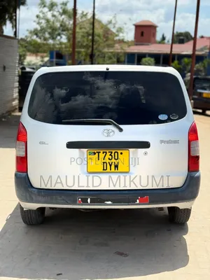 Toyota Probox 2004 Silver