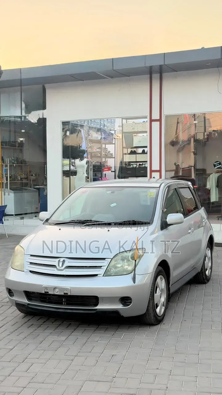 Toyota IST 2004 Silver