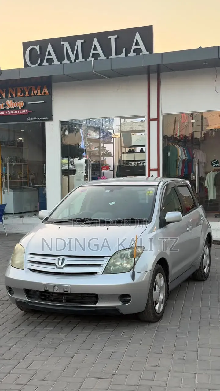 Toyota IST 2004 Silver