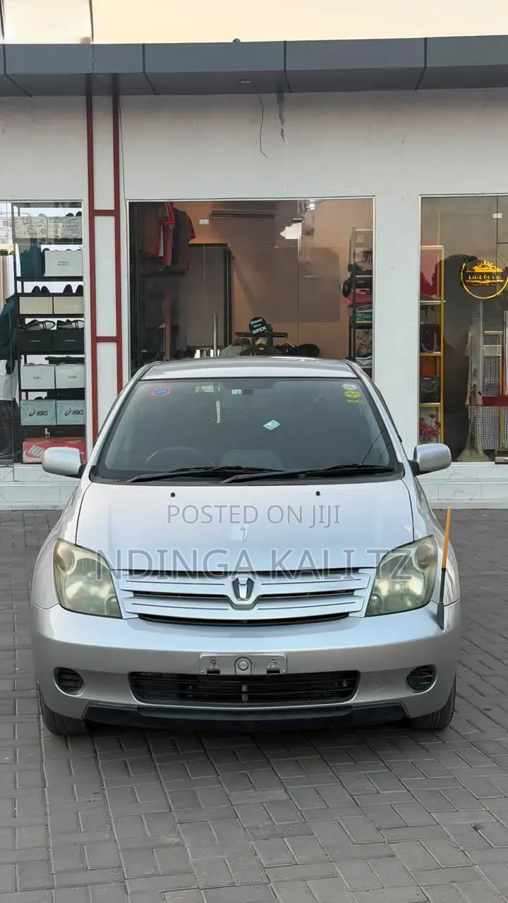 Toyota IST 2004 Silver