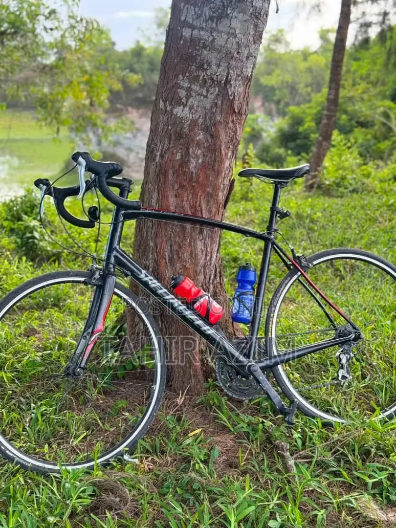 Specialised Road Bike