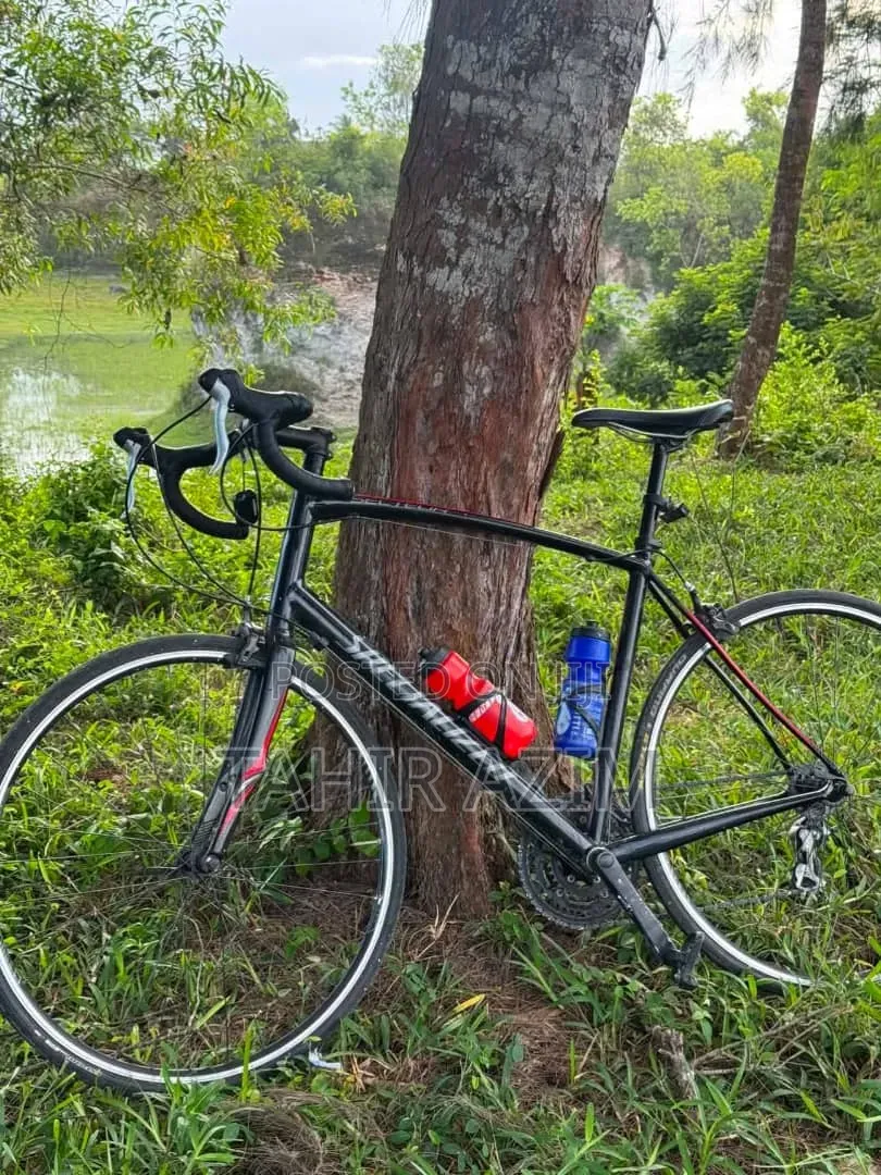 Specialised Road Bike