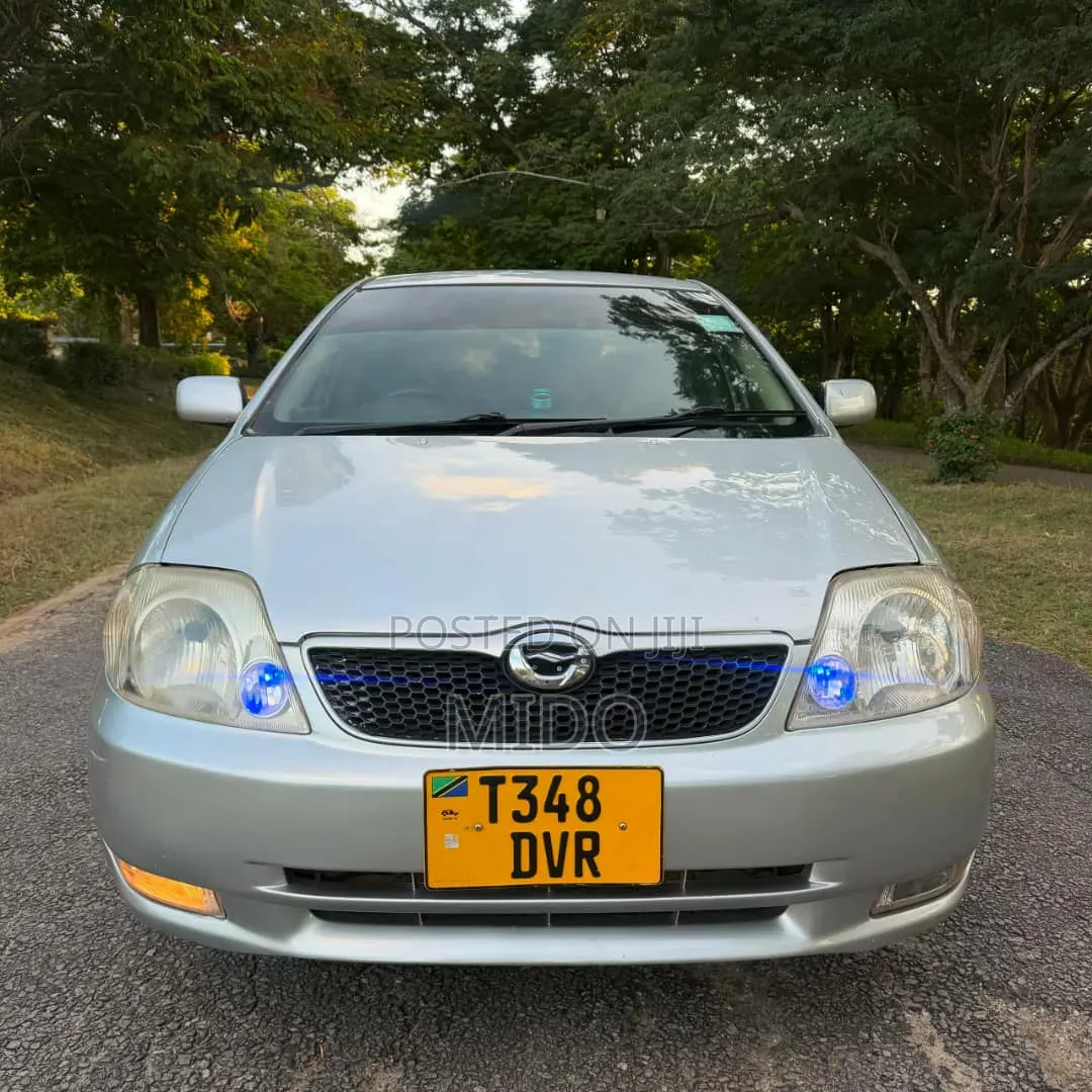 Toyota Corolla RunX 2004 Silver
