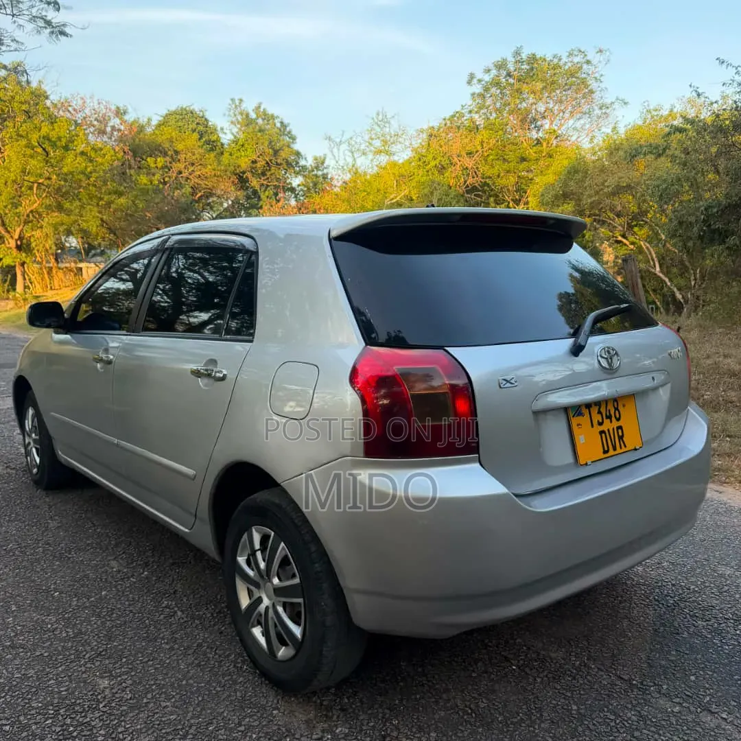 Toyota Corolla RunX 2004 Silver
