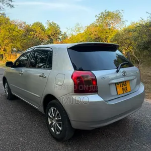 Toyota Corolla RunX 2004 Silver
