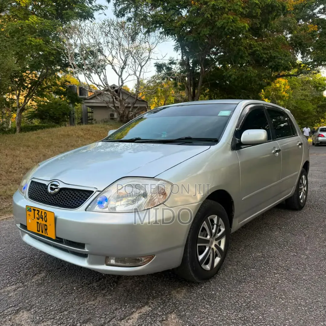 Toyota Corolla RunX 2004 Silver