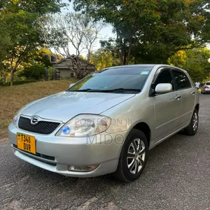 Toyota Corolla RunX 2004 Silver