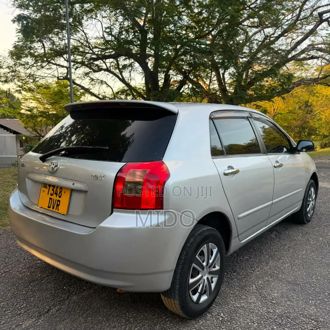 Toyota Corolla RunX 2004 Silver
