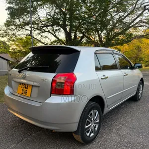 Toyota Corolla RunX 2004 Silver