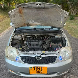 Toyota Corolla RunX 2004 Silver