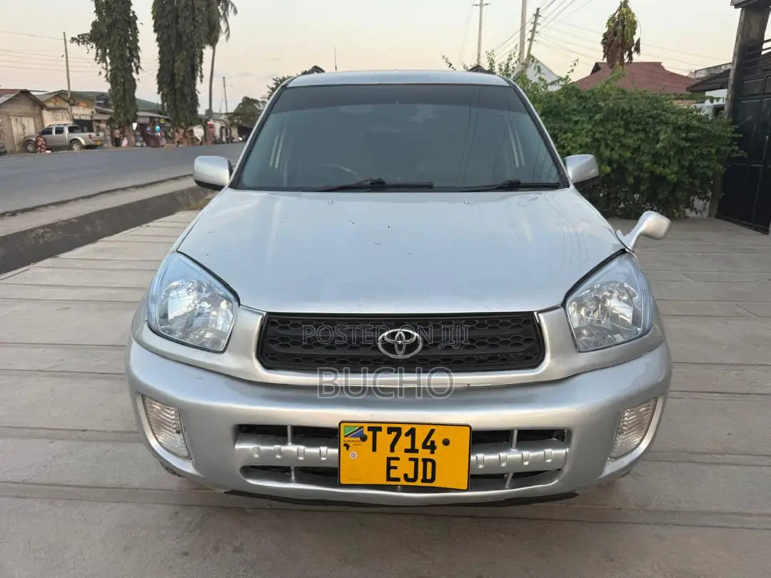 Toyota RAV4 2005 Silver