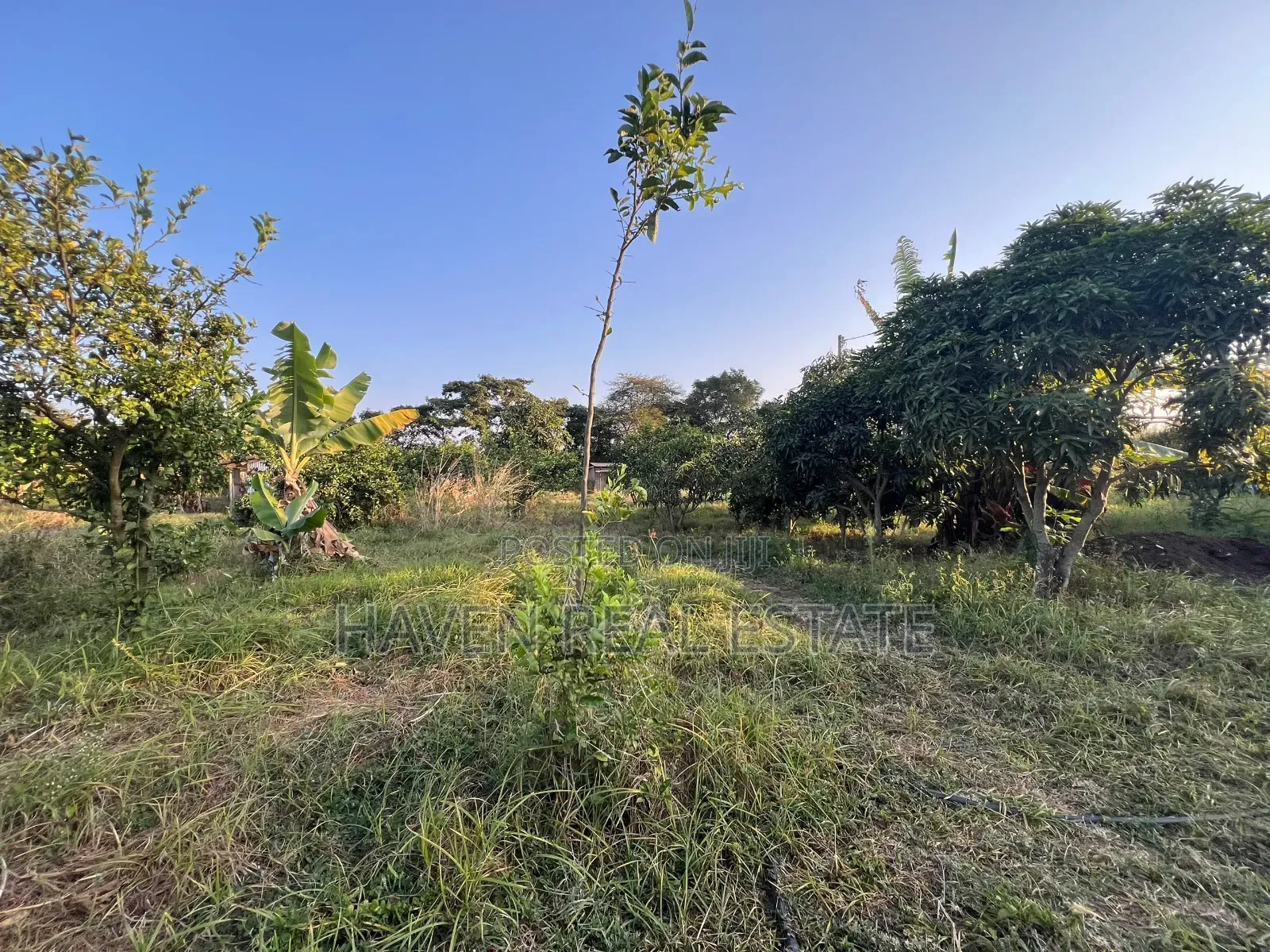 7 Acres for Sale at Kisongo Arusha