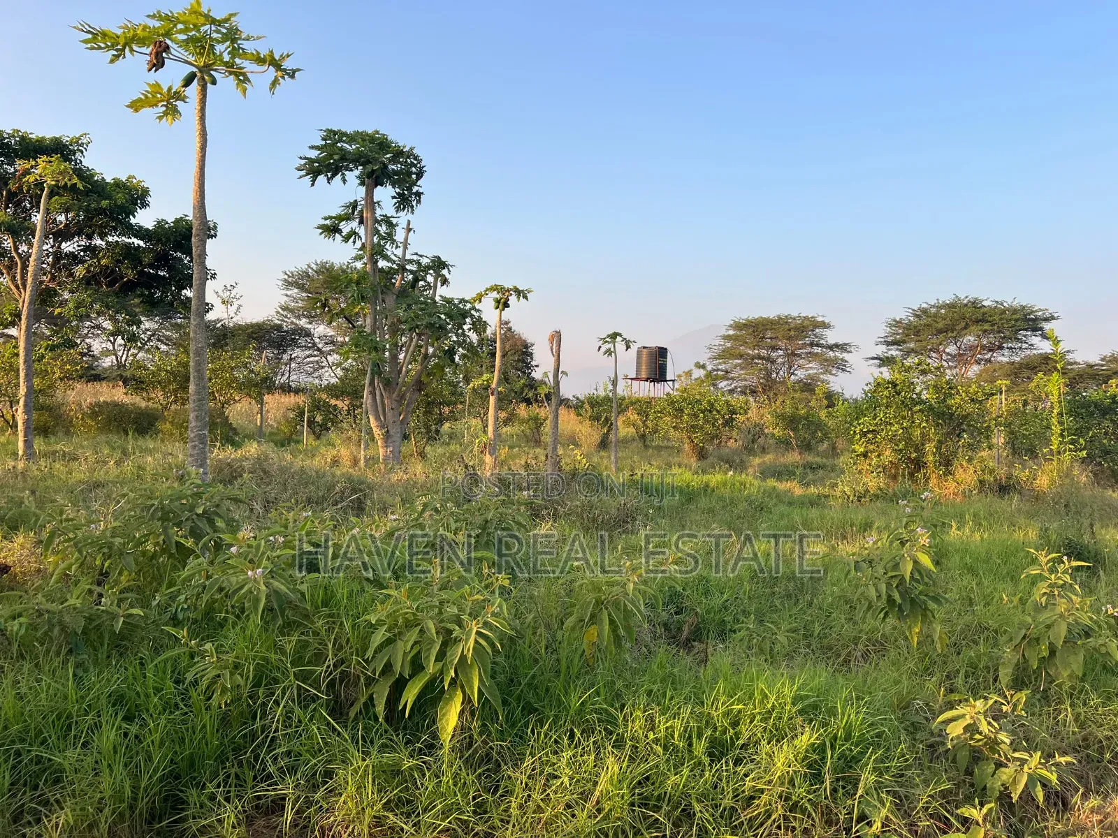 7 Acres for Sale at Kisongo Arusha