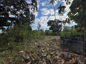 Commercial Plot for Sale in Zinga Bagamoyo