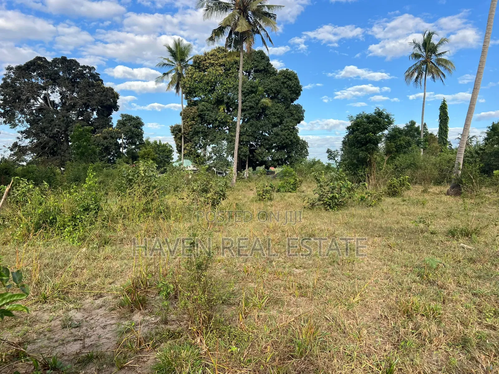 Commercial Plot for Sale in Zinga Bagamoyo