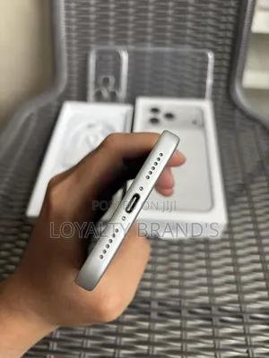 New Apple iPhone 17 Pro Max 256 GB Silver