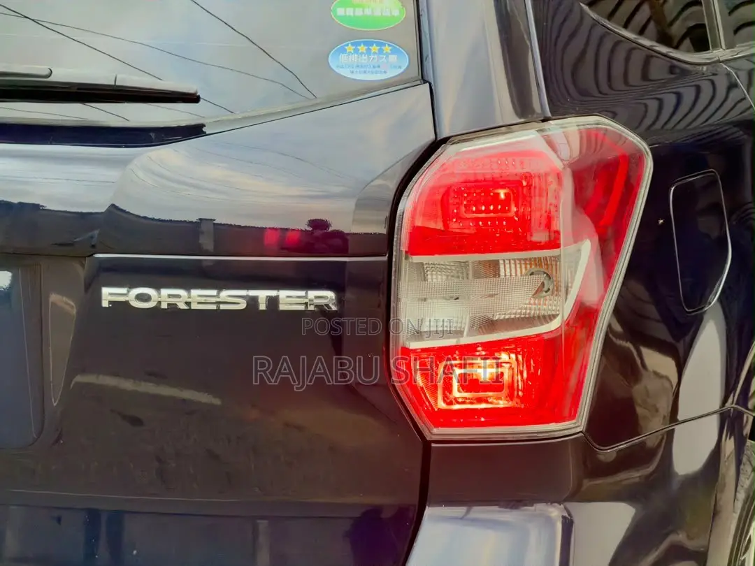 Subaru Forester 2013 Blue