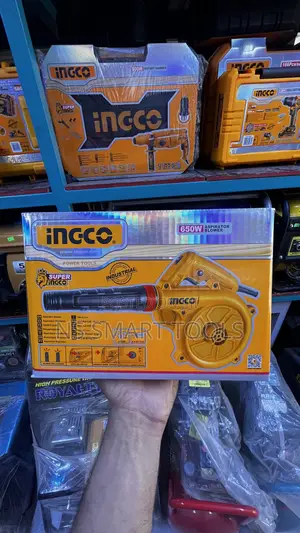 Ingco Aspirator Blower 650w