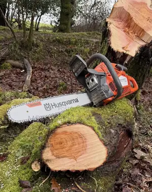 Husqvarna Professional Petrol Chainsaw 365xр