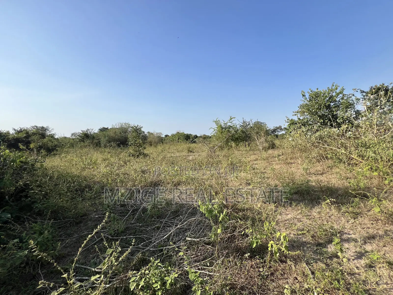 43 Acres Industrial Plot for Sale in Bagamoyo, Kidomole