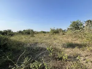 43 Acres Industrial Plot for Sale in Bagamoyo, Kidomole