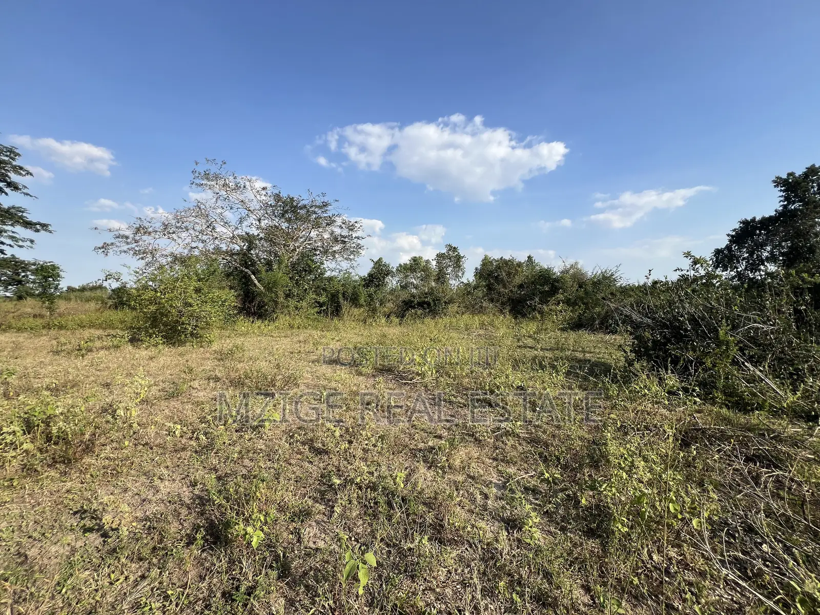 43 Acres Industrial Plot for Sale in Bagamoyo, Kidomole