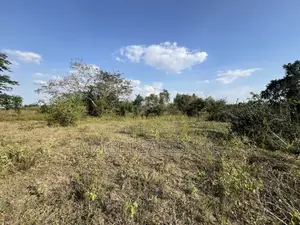 43 Acres Industrial Plot for Sale in Bagamoyo, Kidomole