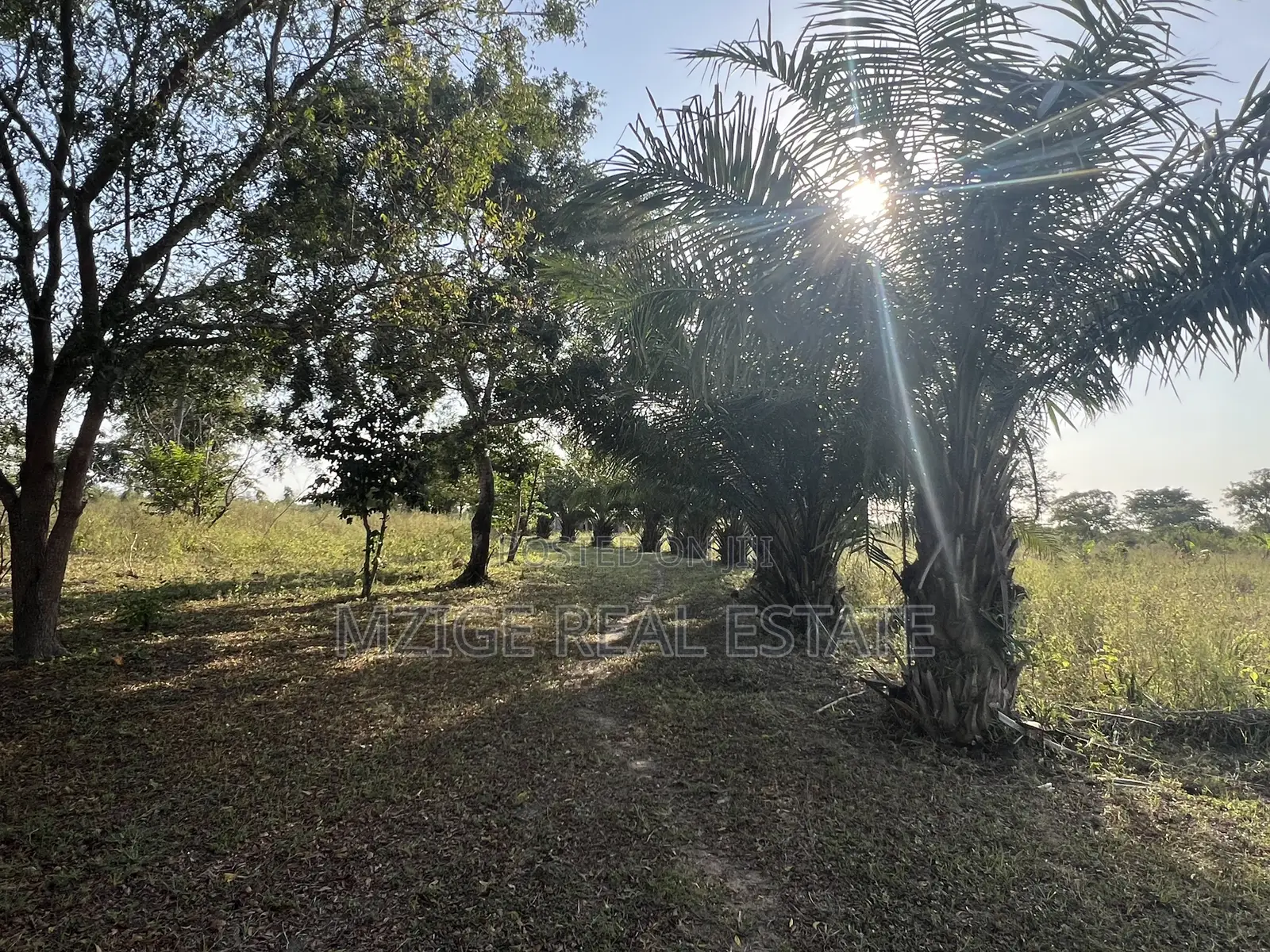 43 Acres Industrial Plot for Sale in Bagamoyo, Kidomole