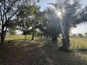 43 Acres Industrial Plot for Sale in Bagamoyo, Kidomole