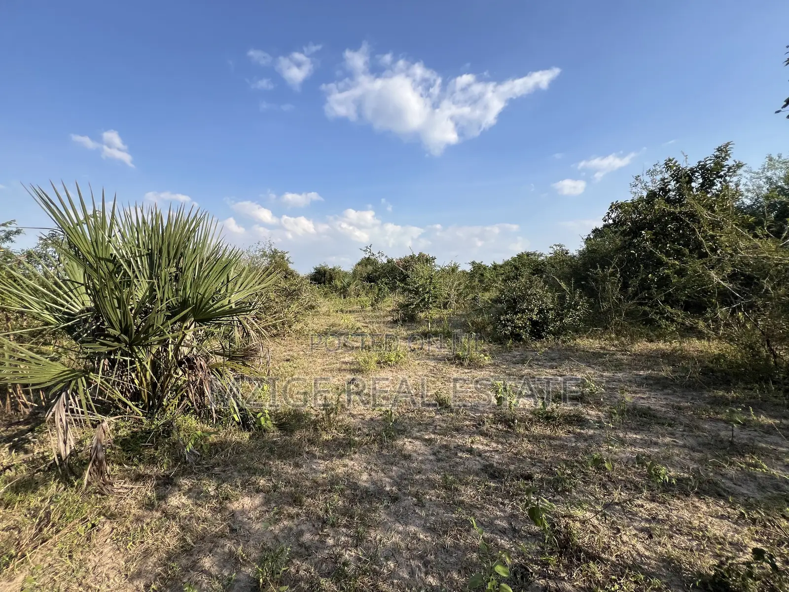 43 Acres Industrial Plot for Sale in Bagamoyo, Kidomole
