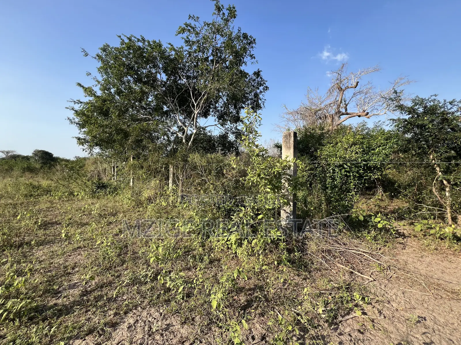 43 Acres Industrial Plot for Sale in Bagamoyo, Kidomole