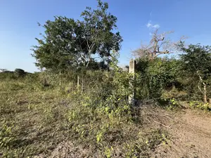 43 Acres Industrial Plot for Sale in Bagamoyo, Kidomole