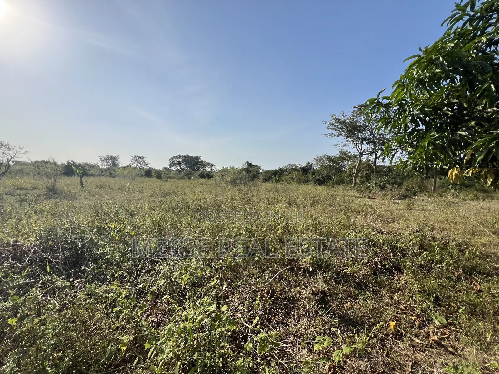 43 Acres Industrial Plot for Sale in Bagamoyo, Kidomole