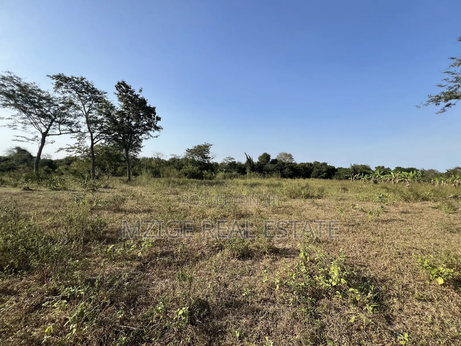 43 Acres Industrial Plot for Sale in Bagamoyo, Kidomole