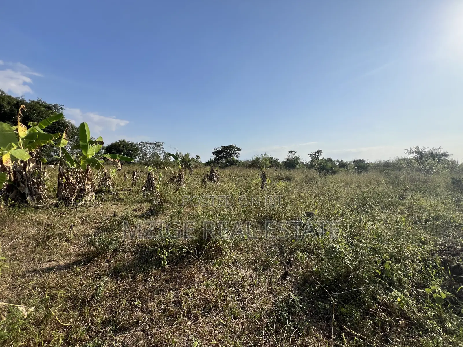 43 Acres Industrial Plot for Sale in Bagamoyo, Kidomole